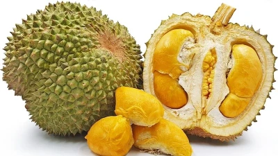 Giá sầu riêng Blackthorn cao, hấp dẫn người tiêu dùng tại TP HCM