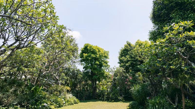 Căn nhà độc đáo của NTK Đỗ Mạnh Cường giữa lòng Sài Gòn