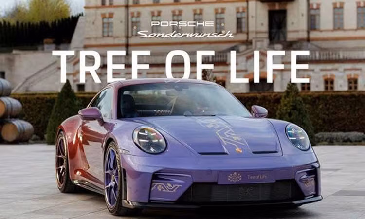 Ngắm chiếc Porsche 911 GT3 chính hãng màu mè nhất từng sản xuất