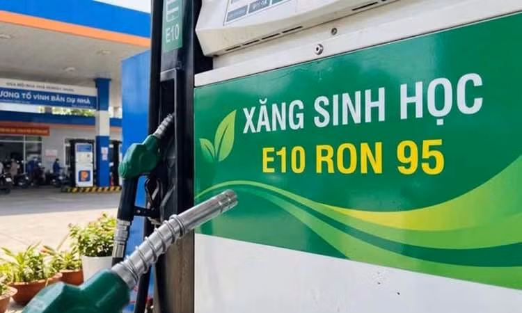 Ôtô, xe máy đang sử dụng có cần súc bình xăng khi sử dụng xăng E10
