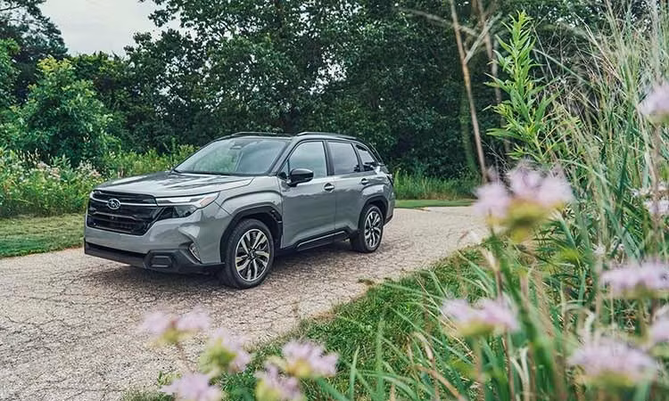Subaru Forester HEV ra mắt Việt Nam tháng 10/2026, khoảng 1,5 tỷ đồng?