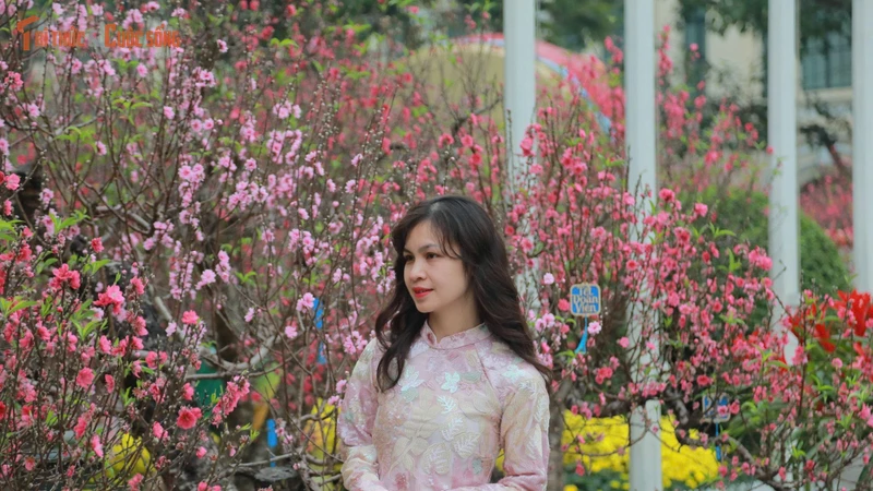 Người dân Hà Nội háo hức du xuân ngày đầu năm mới Bính Ngọ 2026