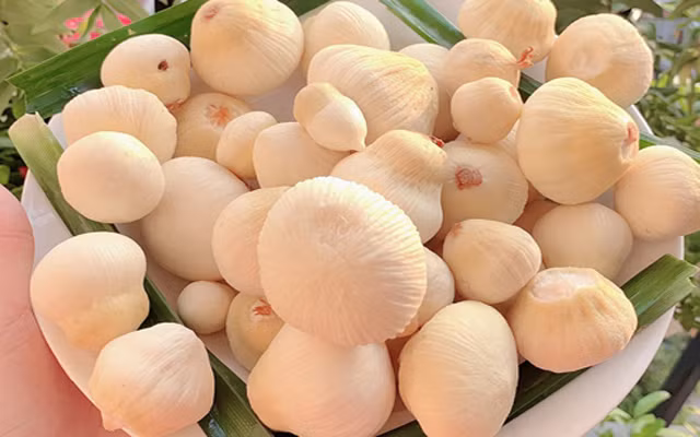 Nở rộ trào lưu thưởng thức mộng dừa, món đặc sản có giá trị kinh tế cao