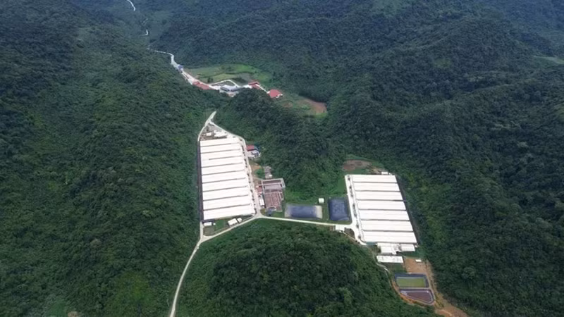 Vụ tai nạn tại trang trại chăn nuôi Dabaco Thanh Hóa: 5 người thiệt mạng