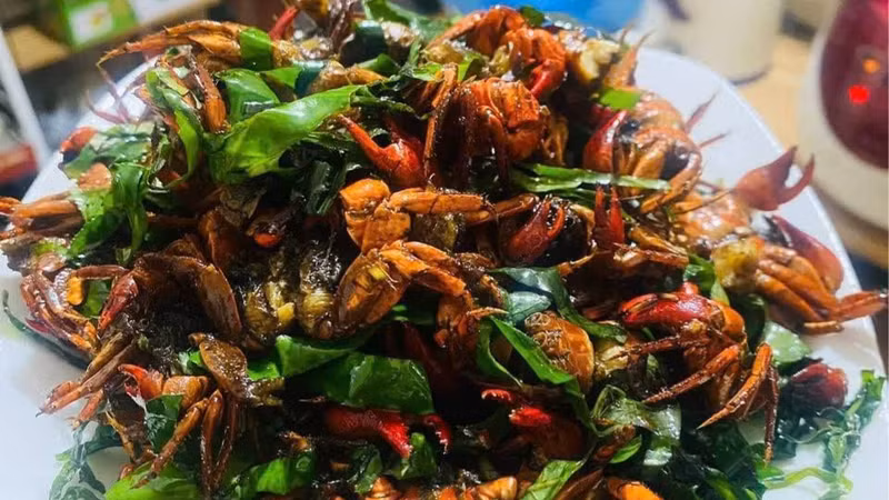 Cáy mật Nam Định – đặc sản mùa hè với hương vị đặc trưng và giá cao