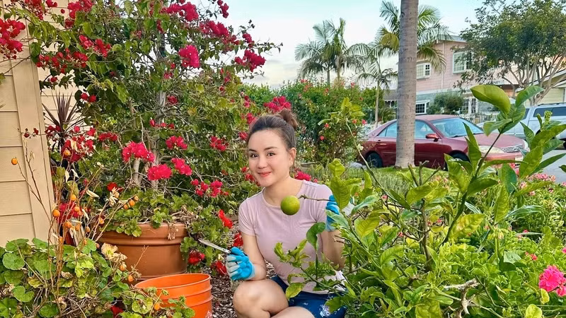 Ngôi nhà rực rỡ sắc hoa của Vy Oanh tại Mỹ