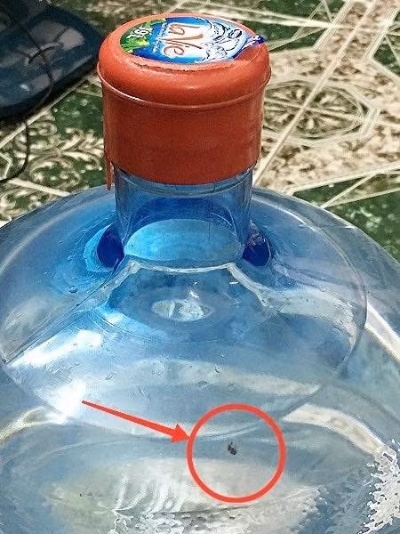 Khach hang hoang hon phat hien binh nuoc Lavie 19 lit co vat the la nghi xac ruoi phan huy