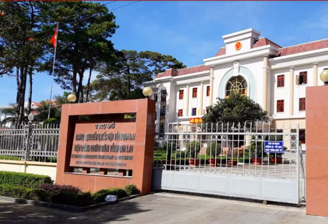 2 tan Pho Chu tich UBND tinh Gia Lai la ai?-Hinh-7