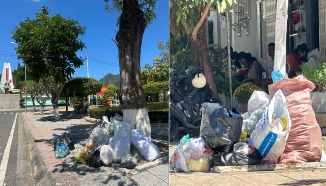 Nhung hinh anh chua dep o cong vien, duong trung tam TP Cam Ranh ngay Xuan-Hinh-8