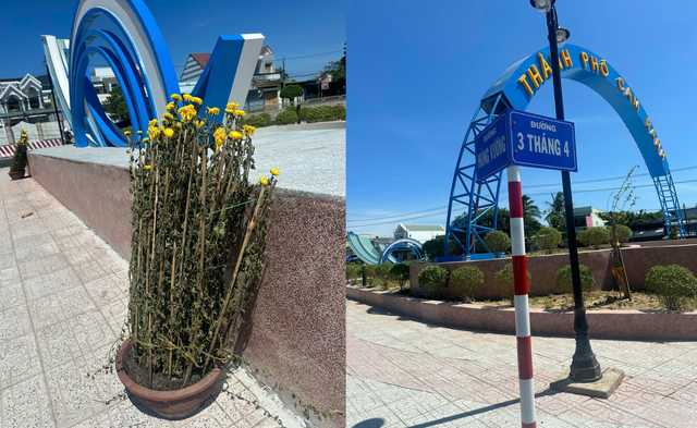 Nhung hinh anh chua dep o cong vien, duong trung tam TP Cam Ranh ngay Xuan-Hinh-4