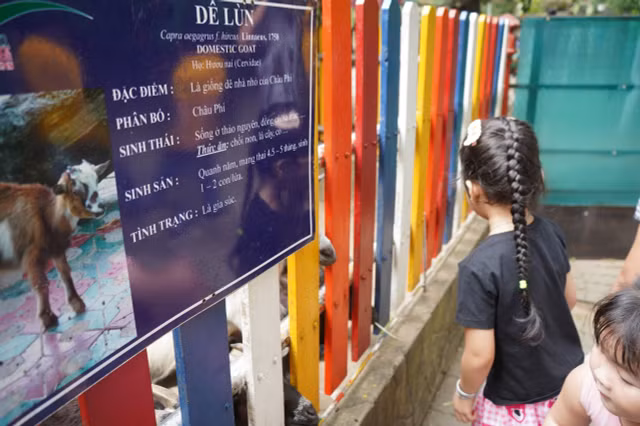 Cac dia diem tai trung tam TPHCM thu hut dong dao nguoi dan don Xuan-Hinh-5