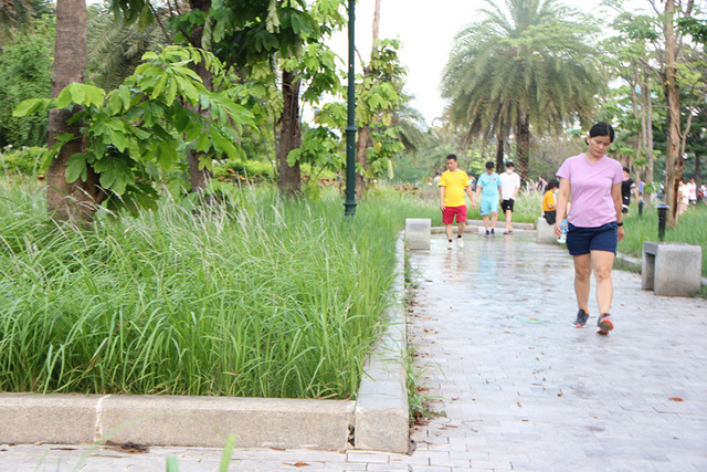 Rac ngap ngua o Cong vien gan nghin ty giua Thu do-Hinh-5