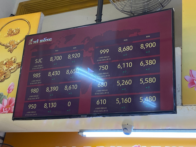 Nguoi dan TPHCM hao huc mua vang ngay via Than Tai du gia tang manh-Hinh-7