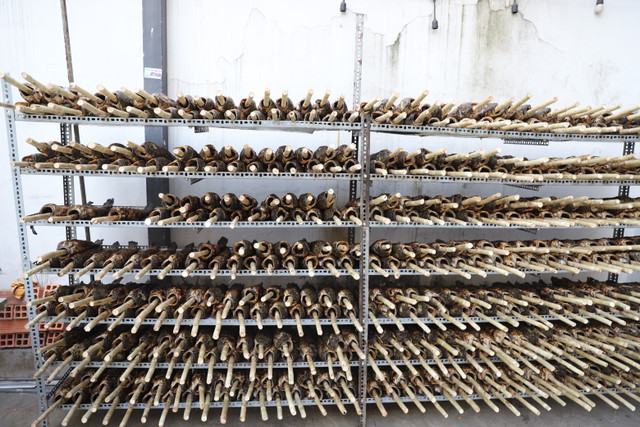 Pho ca loc nuong tap nap nguoi ngay via Than Tai-Hinh-6