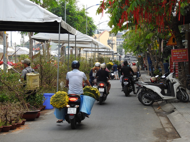 Ruc ro hoa Tet TP HCM: Hy vong nhung ngay can Tet-Hinh-7