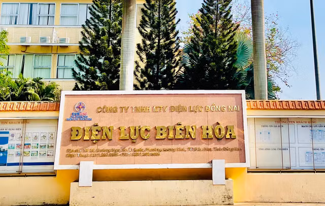 Cty Xay lap Dien trung goi nang cap duong day trung the cua Dien luc Bien Hoa