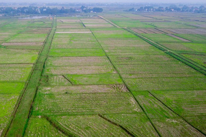 Dự án dự kiến sẽ tạo thu nhập cho khoảng 5.000 lao động trực tiếp. Ngoài ra, hoạt động phụ trợ (khách sạn, biệt thự, khu nghỉ dưỡng, trung tâm mua sắm và công viên phục vụ cho văn hóa giải trí) dự tính thu hút khoảng 20-25 nghìn lao động.