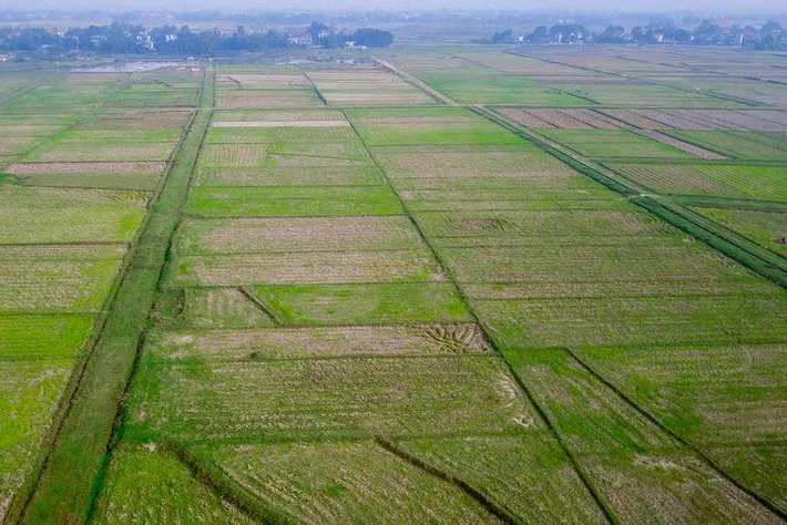 Dự án dự kiến sẽ tạo thu nhập cho khoảng 5.000 lao động trực tiếp. Ngoài ra, hoạt động phụ trợ (khách sạn, biệt thự, khu nghỉ dưỡng, trung tâm mua sắm và công viên phục vụ cho văn hóa giải trí) dự tính thu hút khoảng 20-25 nghìn lao động.