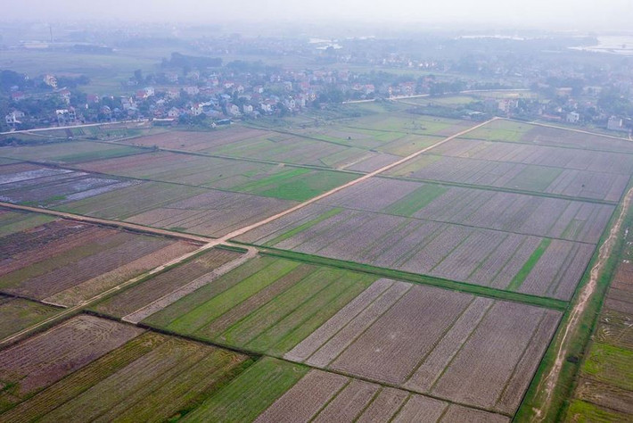 Theo đại diện UBND Thành phố Hà Nội, nếu được Chính phủ phê duyệt điều chỉnh cục bộ quy hoạch tổng thể phát triển kinh tế - xã hội đến năm 2020, định hướng đến năm 2030, thì dự án Tổ hợp vui chơi giải trí đa năng - Trường đua ngựa sẽ được khởi công trong năm 2019 tới đây.