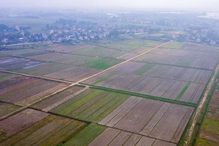 Theo đại diện UBND Thành phố Hà Nội, nếu được Chính phủ phê duyệt điều chỉnh cục bộ quy hoạch tổng thể phát triển kinh tế - xã hội đến năm 2020, định hướng đến năm 2030, thì dự án Tổ hợp vui chơi giải trí đa năng - Trường đua ngựa sẽ được khởi công trong năm 2019 tới đây.