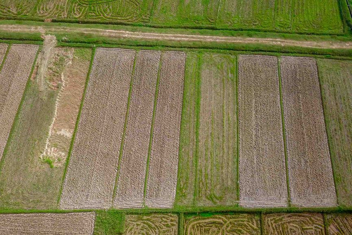 Từ năm 1999, dự án trường đua ngựa đã được nghiên cứu và dự kiến xây dựng trên địa bàn phường Đại Kim (Hoàng Mai) và xã Thanh Liệt (Thanh Trì).