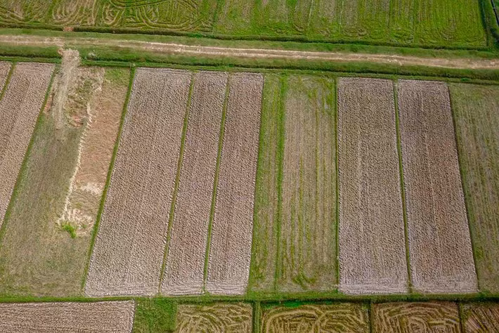 Từ năm 1999, dự án trường đua ngựa đã được nghiên cứu và dự kiến xây dựng trên địa bàn phường Đại Kim (Hoàng Mai) và xã Thanh Liệt (Thanh Trì).