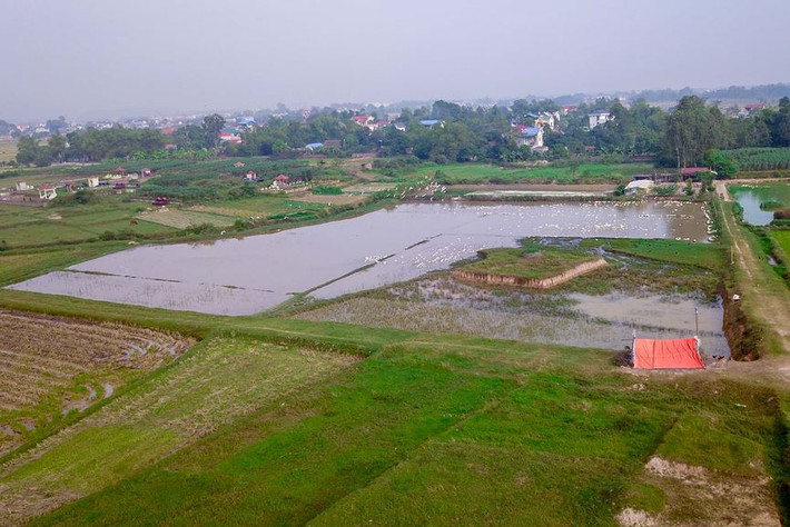 TP Hà Nội cho biết, dự án trên có tổng mức đầu tư khoảng 420 triệu đô la, chiếm tỷ trọng khoảng 2,8% tổng đầu tư toàn xã hội trên địa bàn TP. Dự án sẽ góp phần tăng nguồn thu ngân sách khoảng 66 triệu đô la mỗi năm.