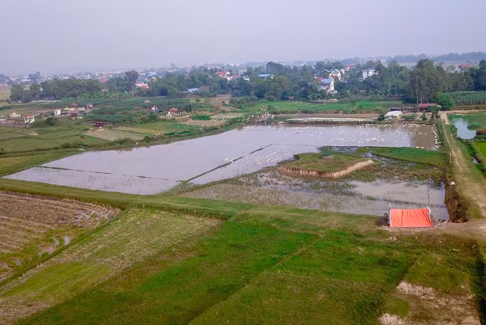 TP Hà Nội cho biết, dự án trên có tổng mức đầu tư khoảng 420 triệu đô la, chiếm tỷ trọng khoảng 2,8% tổng đầu tư toàn xã hội trên địa bàn TP. Dự án sẽ góp phần tăng nguồn thu ngân sách khoảng 66 triệu đô la mỗi năm.