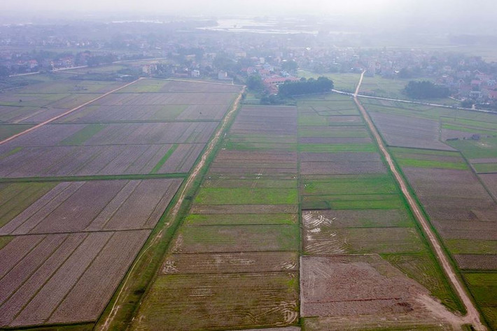 Nhưng do quy định của pháp luật liên quan đến cấp phép cá cược, đua ngựa chưa hoàn thiện nên dự án chưa thể được triển khai.