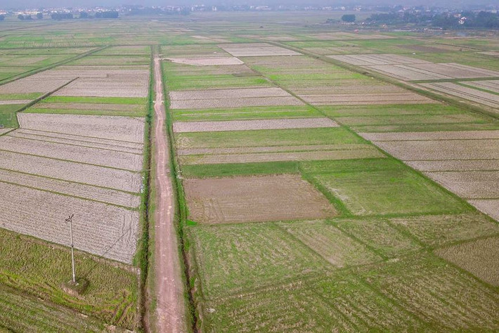 Đầu năm 2017 Chính phủ ban hành Nghị định 06 về kinh doanh đặt cược đua ngựa, đua chó và bóng đá quốc tế, đây là căn cứ để Hà Nội gửi lên Chính phủ xét duyệt.