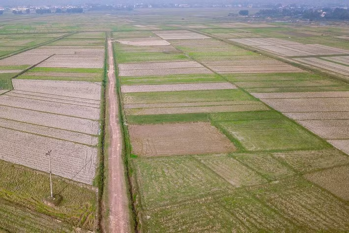 Đầu năm 2017 Chính phủ ban hành Nghị định 06 về kinh doanh đặt cược đua ngựa, đua chó và bóng đá quốc tế, đây là căn cứ để Hà Nội gửi lên Chính phủ xét duyệt.