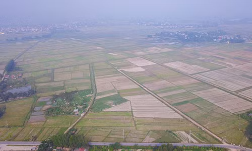  Trường đua ngựa hơn 400 triệu USD tương đương với khoảng 10.000 tỷ đồng dự kiến sẽ được xây dựng tại xã Tân Minh, huyện Sóc Sơn (Hà Nội) với quy mô hơn 100ha.