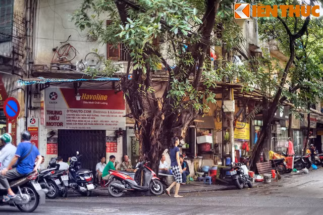 Cảnh tượng choáng ngợp con phố độc nhất ở Hà Nội - Hình 2 Canh tuong choang ngop con pho doc nhat o Ha Noi-Hinh-2