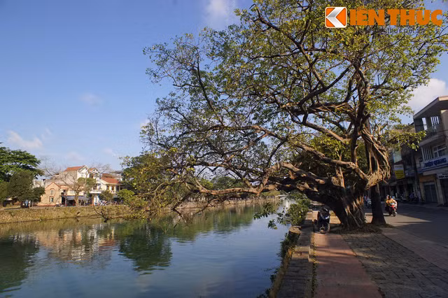 Điều tuyệt vời của 4 dòng sông nổi tiếng xứ Huế - Hình 11 Dieu tuyet voi cua 4 dong song noi tieng xu Hue-Hinh-11