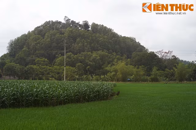 Thưởng ngoạn khu đền cổ hoành tráng nhất Thanh Hoá - Hình 13 Thuong ngoan khu den co hoanh trang nhat Thanh Hoa-Hinh-13