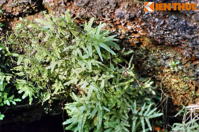 Ý nghĩa tâm linh của giếng cổ làng Đường Lâm - Hình 5 Y nghia tam linh cua gieng co lang Duong Lam-Hinh-5