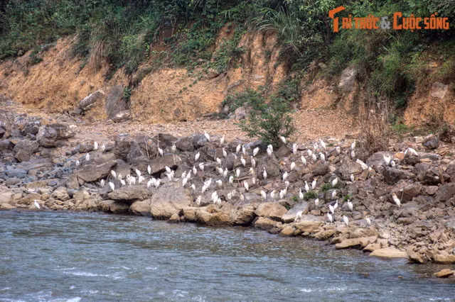 Đến Hà Giang không thể bỏ qua những địa cứ tuyệt đẹp này - Hình 10 Den Ha Giang khong the bo qua nhung dia cu tuyet dep nay-Hinh-10