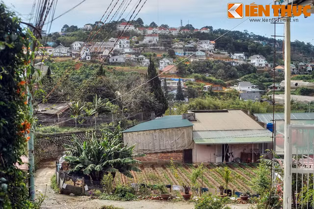 Khám phá vẻ đẹp khác lạ của “nhà bậc thang” ở Đà Lạt - Hình 10 Kham pha ve dep khac la cua “nha bac thang” o Da Lat-Hinh-10