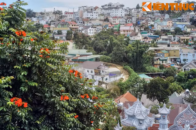 Khám phá vẻ đẹp khác lạ của “nhà bậc thang” ở Đà Lạt - Hình 9 Kham pha ve dep khac la cua “nha bac thang” o Da Lat-Hinh-9