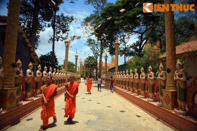 Giải mã ngôi chùa cò đua nhau về làm tổ độc đáo nhất Việt Nam Giai ma ngoi chua co dua nhau ve lam to doc dao nhat Viet Nam