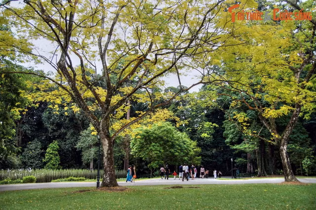 Di tham vuon bach thao noi tieng nhat Dong Nam A