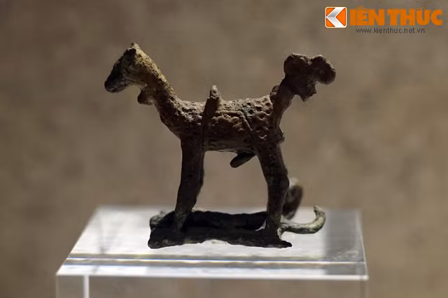 An tuong nhung bao vat quoc gia bi an nhat cua Viet Nam-Hinh-6