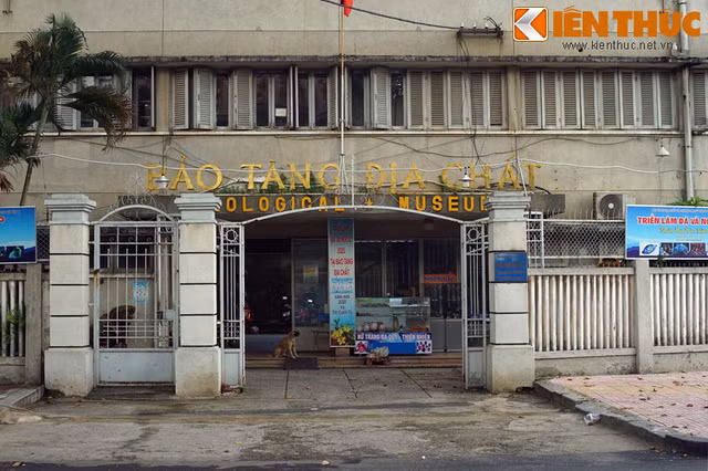 Bảo tàng độc lạ ít người biết ở trung tâm Sài Gòn Bao tang doc la it nguoi biet o trung tam Sai Gon