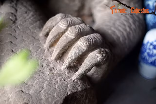 Khám phá tượng rồng tâm trạng phẫn uất ngàn tuổi độc nhất Việt Nam - Hình 7 Kham pha tuong rong tam trang phan uat ngan tuoi doc nhat Viet Nam-Hinh-7