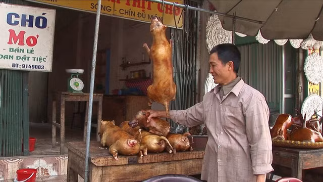 Khách tây nói gì về món thịt cầy ở Việt Nam hàng chục năm trước? Khach tay noi gi ve mon thit cay o Viet Nam hang chuc nam truoc?
