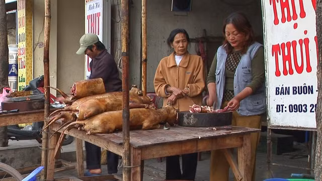 Khach tay noi gi ve mon thit cay o Viet Nam hang chuc nam truoc?-Hinh-3