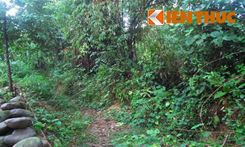 Một trong những hiện trường mà chị Mận bị nhóm trai làng hiếp dâm tập thể.