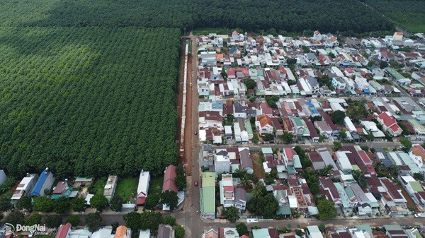 Thu hồi hơn 5 ngàn hécta đất của Công ty cao su Đồng Nai Thu hoi hon 5 ngan hecta dat cua Cong ty cao su Dong Nai