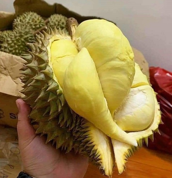 Thu chục triệu mỗi ngày nhờ bán sầu Thái mini - Hình 2 Thu chuc trieu moi ngay nho ban sau Thai mini-Hinh-2