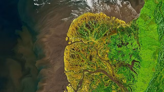 Kinh ngac nhung buc anh chup tu ve tinh nhu tac pham nghe thuat-Hinh-2